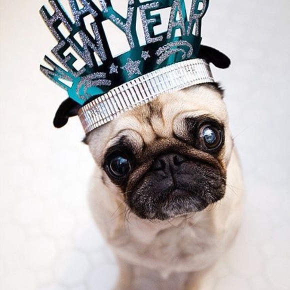 Meet your Posher, Luz - Picture 1 of 1